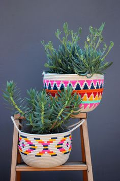 two potted plants sitting on top of a wooden stand