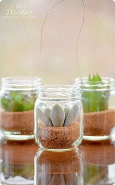 three mason jars with plants in them and the words diy mini succulent hanging jars