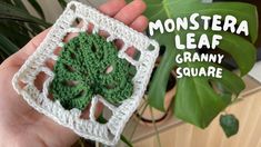 a hand holding a crocheted square with a green leaf on it in front of a houseplant