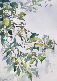 watercolor painting of green leaves and branches