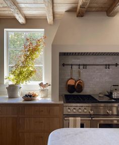 a kitchen with an oven, sink and potted plant in the window sill