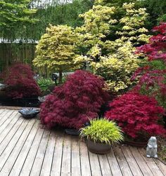 a wooden deck surrounded by colorful plants and trees in the middle of a garden area