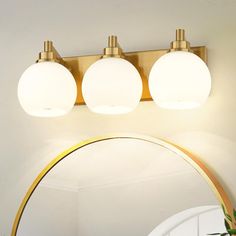 a bathroom mirror with three lights on it and a plant in front of the mirror