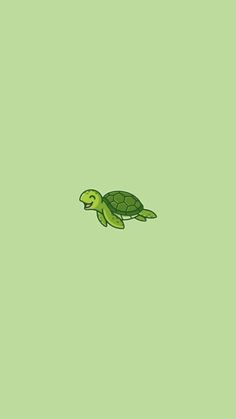 a green turtle floating in the air