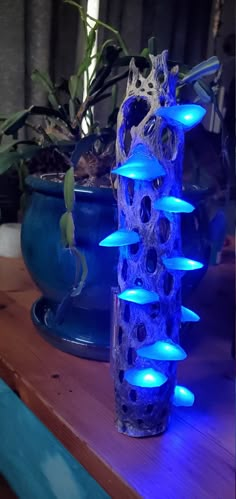 a blue vase sitting on top of a wooden table next to a potted plant