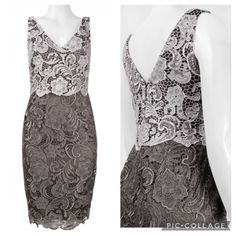 Adrianna Papell Beautiful Lace Hidden Back Zipper Fully Lined Brand New With Wholesale Tag Row A Gray Lace Dress For Formal Occasions, Elegant Silver Lace Dress, Silver Lace Formal Dress, Elegant Gray Mother Of The Bride Dress, Elegant Gray Dress For Mother Of The Bride, Silver Lace Evening Dress, Silver Lace Dress For Spring, Elegant Gray Lace Dress, Silver Fitted Lace Dresses