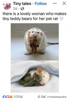 two pictures of mice one is holding a teddy bear and the other has a stuffed animal