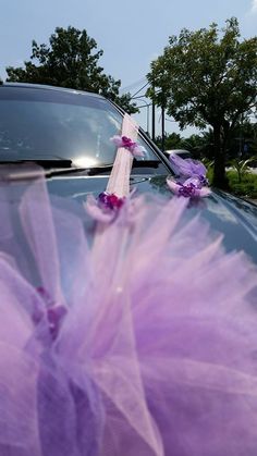 a purple tulle sitting on the hood of a car