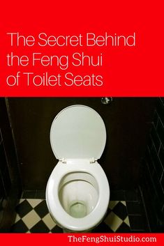 the toilet seat is up and there is an advertisement on it that says, the secret behind the ferg shui of toilet seats