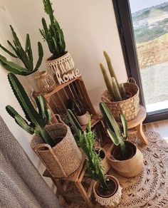 several potted plants sit on a table near a window