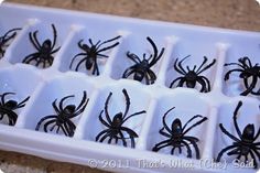 a tray filled with black spider figurines sitting on top of a counter