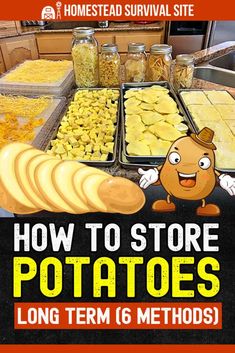 how to store potatoes long term 6 method