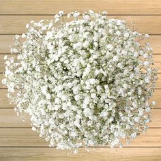 a bunch of white flowers sitting on top of a wooden floor next to a wall