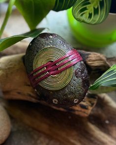 a rock sitting on top of a piece of wood next to some green plant life