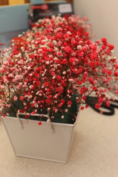 small red and white flowers in a metal container