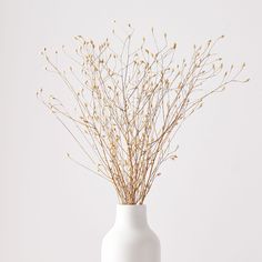 a white vase filled with dry grass on top of a table