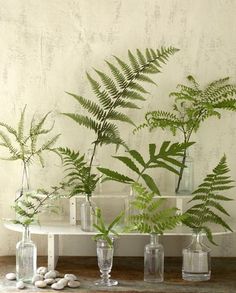 three vases filled with plants sitting on top of a table