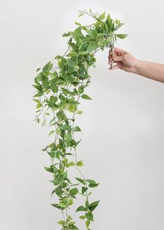 Artificial Plants | Tradescantia Hanging House Plant | Afloral.com Artificial Hanging Plants Indoor, Hanging House Plants, Fake House Plants, Artificial Indoor Plants, Fake Hanging Plants, Hanging House, Plants Hanging, Artificial Plant Wall