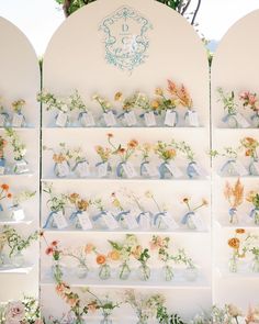 an assortment of flowers are displayed on shelves