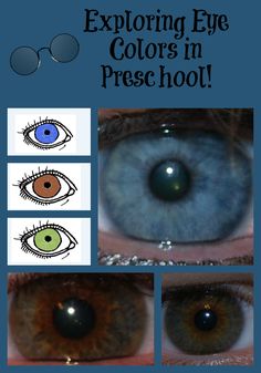 an eye with different colored eyes and the words exploring eye colors in prece hol