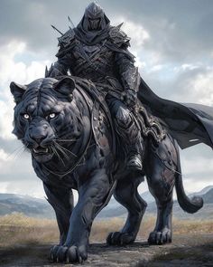 a man riding on the back of a black tiger in front of mountains and clouds