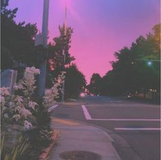 an empty street at dusk with the sun setting in the sky and flowers on the sidewalk