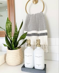 a bathroom counter with two white bottles and a potted plant on the counter next to it