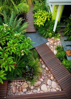 an image of a garden with rocks and plants