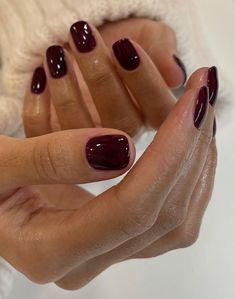 Maroon Nails On Brown Skin, Short Sqovalnails, Wine Pedicure, Burgundy Dip Nails, Short Round Nails Fall, Fall Natural Nails Short, Short Gel Extension Nails, September Toe Nails Color, Square Oval Nails Short