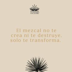 an advertisement with the words el mezcalo no te crea ni te destruye, solo te transforma