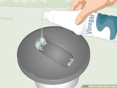 a hand is pouring water into a trash can with mice crawling on the top and bottom