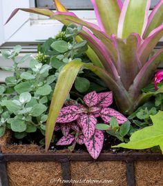 a planter filled with flowers and plants next to a window