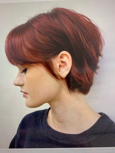 Bixie Haircut, Tomboy Haircut, Longer Pixie Haircut, Long Pixie Hairstyles, Pixie Bob Haircut, Long Pixie Cuts, Short Hair Trends, Long Pixie