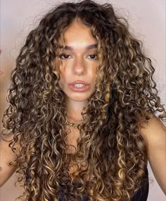 Money Piece On Natural Curly Hair, Light Brown Permed Hair, Curly Hair Highlights Brunettes, Chestnut Highlights Curly Hair, Little Bit Of Highlights In Brown Hair, Accent Highlights Curly Hair, Curly Hair With Golden Highlights, 3b Curly Highlights, Partial Highlight Curly Hair