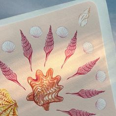 an image of seashells and shells on a sheet of paper with watercolor paint