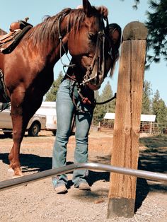 a woman standing next to a brown horse near a wooden post and fence with trees in the background