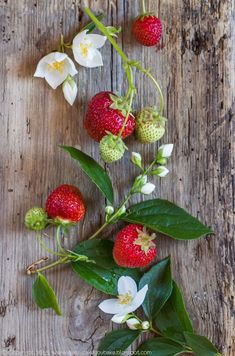 strawberries and flowers on a wooden table