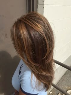 Honey Brown Hair One Color, Light Ginger Highlights In Brown Hair, Highlights In Reddish Brown Hair, Ginger Brown Balayage Hair, Red Hair With Natural Highlights, Honey And Auburn Highlights, Subtle Highlights For Auburn Hair, Comb Highlights Hair, Light Brown With Auburn Highlights