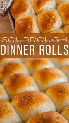 a close up of bread rolls in a pan with the words sourdough dinner rolls