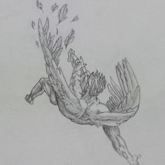 a pencil drawing of a bird flying through the air