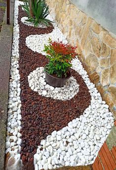 a potted plant sitting on top of a white and brown rock garden bed next to a stone wall