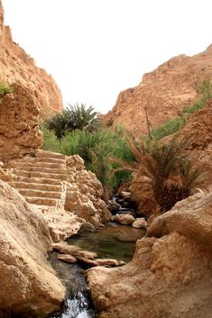 steps lead down to a small stream in the desert