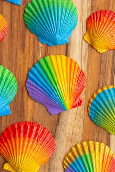 several colorful seashells sitting on top of a wooden table