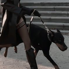 a woman in high heels is walking with a dog on a leash and wearing boots