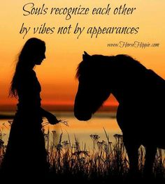 a woman standing next to a horse in front of a sunset with the words soul's recognize each other by vibes not by appearance