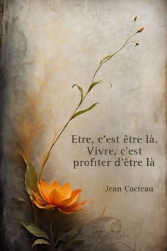 an orange flower sitting on top of a table next to a quote from jean coeeau