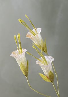 two white flowers are in a vase on a gray tablecloth, with green stems sticking out of it