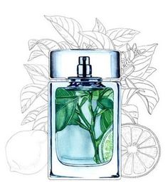 a drawing of a bottle with leaves and lemons in it