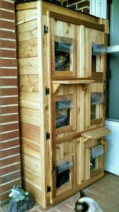 a cat sitting on the floor next to a wooden cabinet with two cats in it