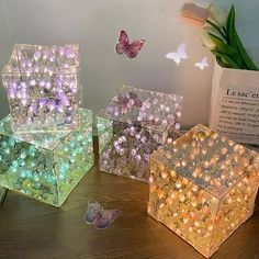 four glass boxes with lights in them on a table next to a plant and butterfly